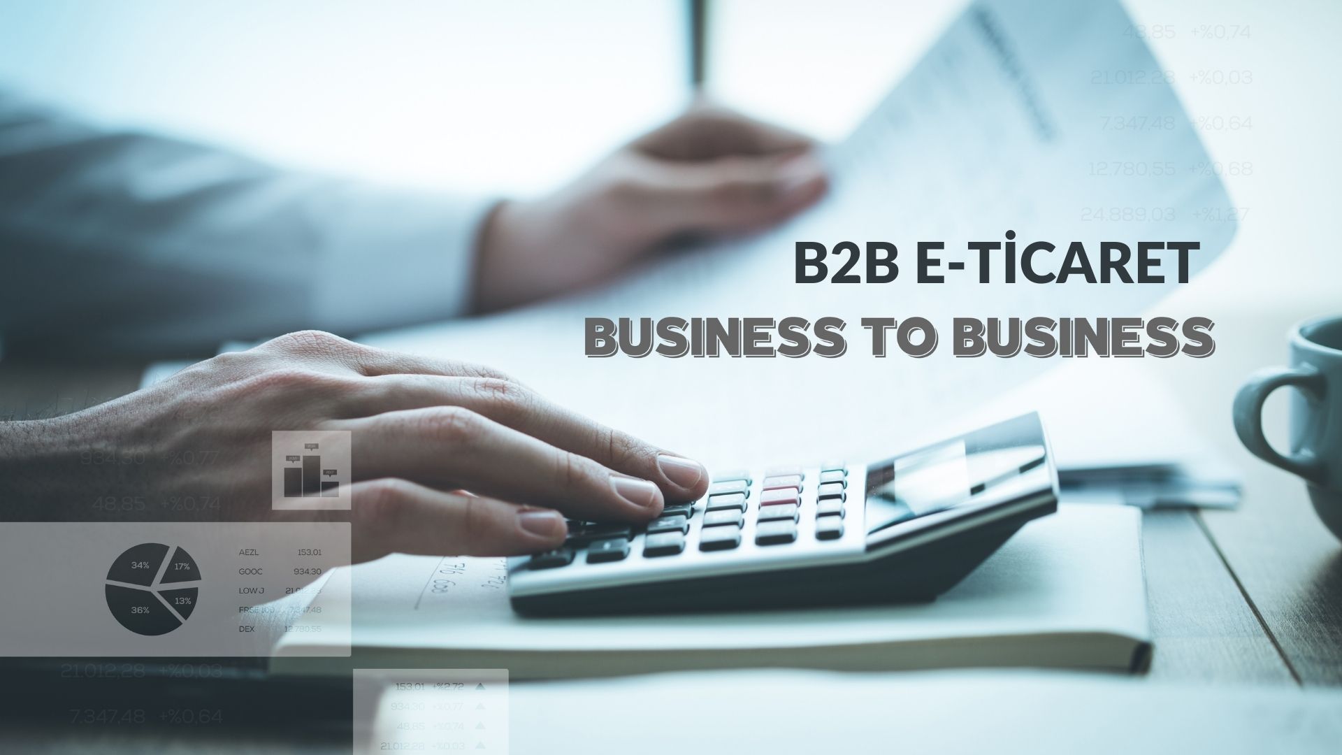 B2B e-Ticaret